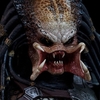The Predator: Zápletka filmu je online | Fandíme filmu