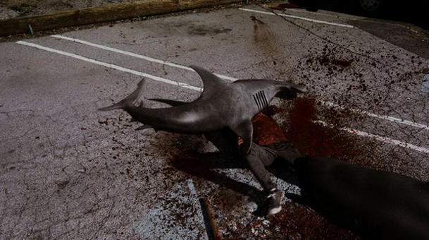Sharknado 5: Žraločí tornádo bude globální | Fandíme filmu