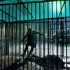 Suburra: Krimi thriller od režiséra populární Gomorry | Fandíme filmu