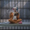 Harley Quinn: Chystá se ještě jeden samostatný film? | Fandíme filmu