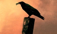 The Raven: Gerarda Butlera chtějí vyhladit roboti | Fandíme filmu
