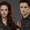 Twilight: Další pokračování se stále zvažuje | Fandíme filmu