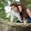 Twilight: Další pokračování se stále zvažuje | Fandíme filmu