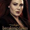 Twilight sága Rozbřesk - 2. část: Závěr je divoký | Fandíme filmu