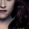 Twilight Sága Rozbřesk - 2. část: První plakáty | Fandíme filmu