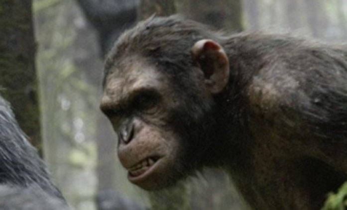 Úsvit Planety opic: Zdaleka nejlepší blockbuster sezony? | Fandíme filmu