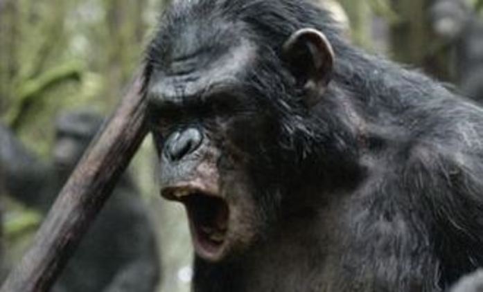 Čeká nás Válka o Planetu opic | Fandíme filmu