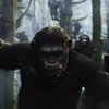 Planeta opic: Nový film obsadil hlavní roli | Fandíme filmu