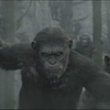 Úsvit Planety opic: Novinky z Comic-Conu | Fandíme filmu