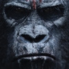 Úsvit Planety opic: První trailer je tady | Fandíme filmu