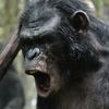 Nová Planeta opic: Režisér slibuje, že předchozí události nehodí do koše | Fandíme filmu