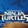 Želvy Ninja si vybojovaly druhý díl | Fandíme filmu