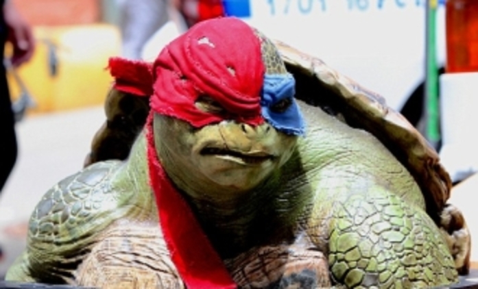 Želvy Ninja 2: Opět se mluví o Krangovi | Fandíme filmu