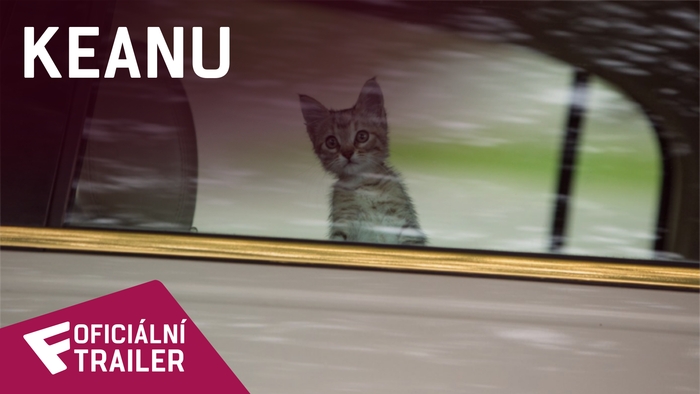 Keanu - Oficiální Trailer (Kitten, Please Spoof) | Fandíme filmu