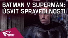 Batman v Superman: Úsvit spravedlnosti - TV Spot #13 | Fandíme filmu