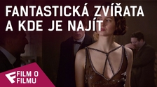 Fantastická zvířata a kde je najít - Film o filmu (A New Hero) | Fandíme filmu