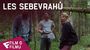 Les sebevrahů - Film o filmu (Classic Supernatural Thriller) | Fandíme filmu