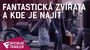 Fantastická zvířata a kde je najít - Oficiální Trailer #2 | Fandíme filmu