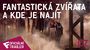 Fantastická zvířata a kde je najít - Oficiální Trailer #2 (CZ) | Fandíme filmu