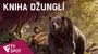 Kniha džunglí - TV Spot (In Theatres Tonight!) | Fandíme filmu