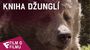 Kniha džunglí - Film o filmu (Christopher Walken is King Louie) | Fandíme filmu