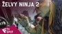 Želvy Ninja 2 - TV Spot (Fan) | Fandíme filmu