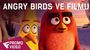 Angry Birds ve filmu - Promo Video (Hatchling Easter) | Fandíme filmu