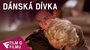 Dánská dívka - Film o filmu (Lili) | Fandíme filmu
