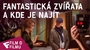 Fantastická zvířata a kde je najít - Film o filmu (Behind the Scenes) | Fandíme filmu