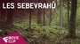 Les sebevrahů - Movie Clip (River) | Fandíme filmu