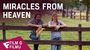 Miracles from Heaven - Film o filmu (Beam Family Miracle) | Fandíme filmu
