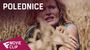Polednice - Movie Clip #4 | Fandíme filmu
