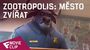 Zootropolis: Město zvířat - Movie Clip (Assistant Mayor Bellwether) | Fandíme filmu