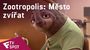 Zootropolis: Město zvířat - TV Spot (Valentine's Day) | Fandíme filmu