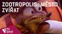 Zootropolis: Město zvířat - TV Spot (Year in Film) | Fandíme filmu