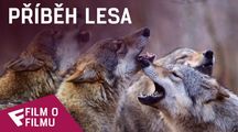 Příběh lesa - Film o filmu | Fandíme filmu